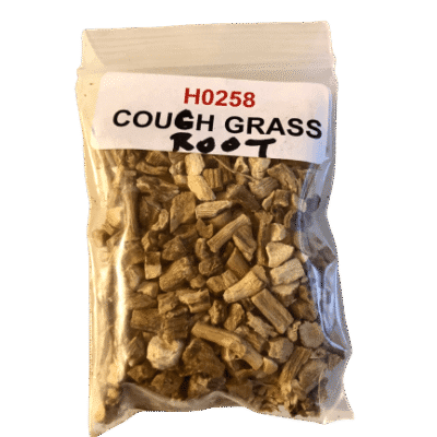 Couch Grass Root