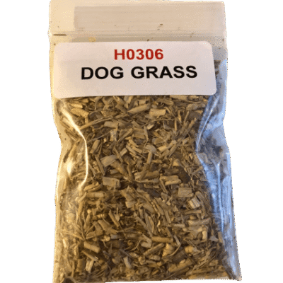 Dog Grass