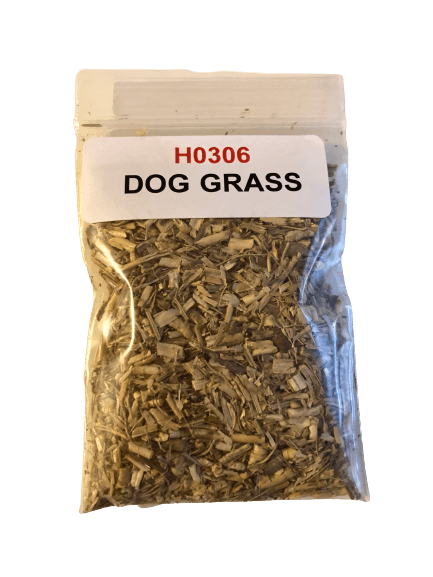 Dog Grass - Image 1
