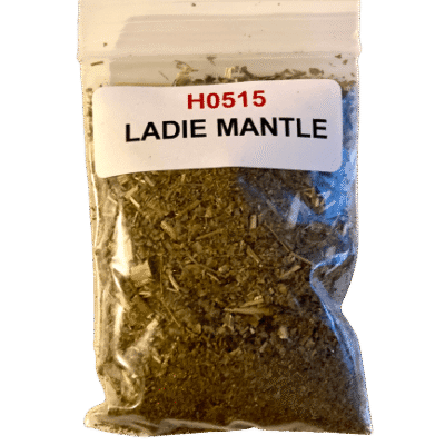 Lady's Mantle