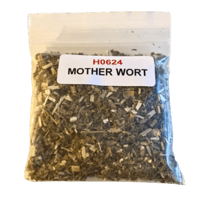 Motherwort