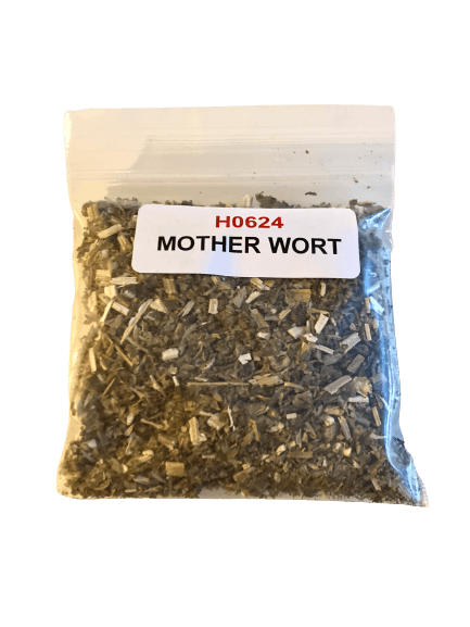 Motherwort - Image 1