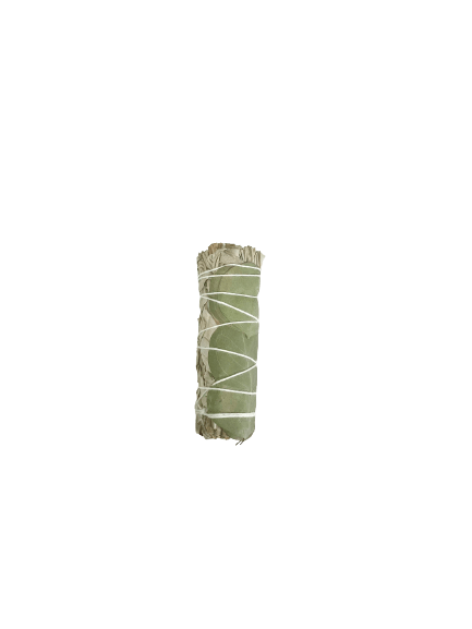 White Sage & Eucalyptus 4" - Image 1