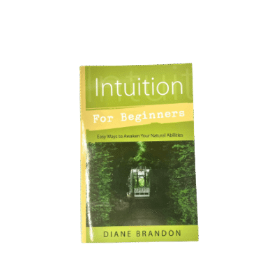 Intuition for Beginners