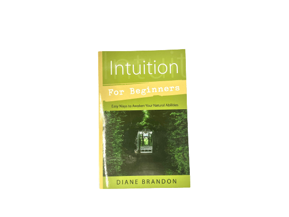 Intuition for Beginners - Image 1